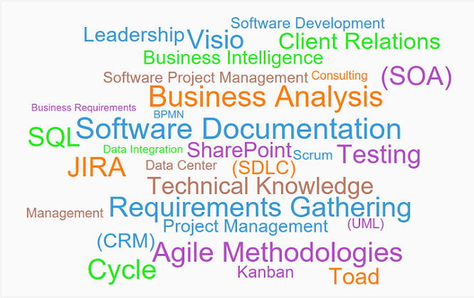 Business Analsyt description wordle